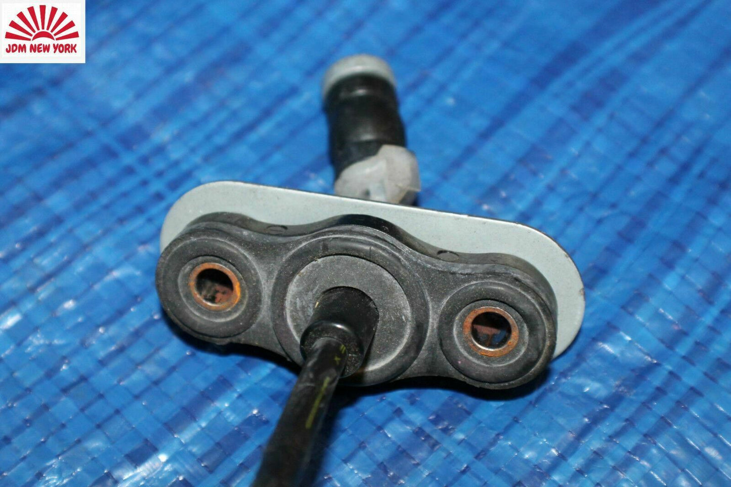 1925669406-1
