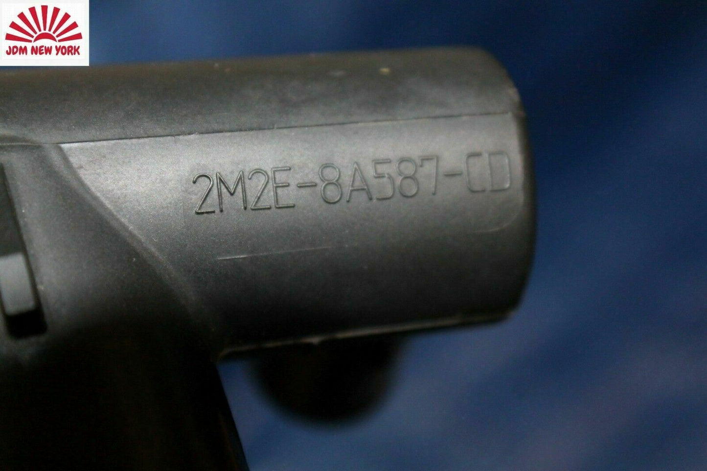 1854745562-1