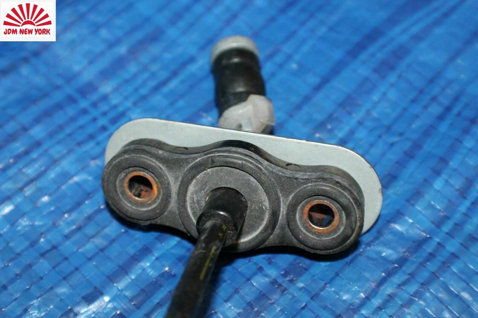 1925669406-1