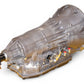 2008 2009 2010 2011 Lexus GS460 4.6L Automatic RWD Transmission JDM 1ur-fse 1urfse 4x2