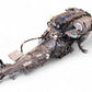 1999 2000 Mazda Miata MX-5 1.8L DOHC Engine 6-Speed Manual Trans ECU JDM bp #1