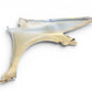 JDM Honda Civic Hybrid FD3 Front & Rear Conversion White Hood Fenders Headlights Bumpers Taillights JDM LDA-MF5 #3