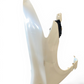 JDM Honda Civic Hybrid FD3 Front & Rear Conversion White Hood Fenders Headlights Bumpers Taillights JDM LDA-MF5 #8