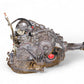 JDM Toyota Estima MCR40W 3.0L V6 4WD Automatic Transmission 1mz-fe 1mzfe 4x4 awd #3