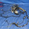 JDM SUBARU IMPREZA WRX STI VERSION 9 WIRING HARNESS WITH ECU 22611AJ810