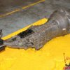 2003-2004 INFINITI G35 3.5L V6 6-SPEED MANUAL RWD TRANSMISSION JDM VQ35DE